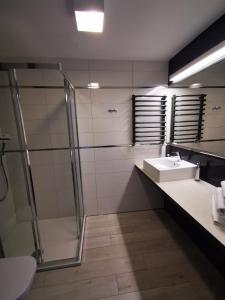 La salle de bains est pourvue d'un lavabo et d'une douche. dans l'établissement Apartament Czarna Góra TIGNES 4 Sienna, à Sienna