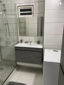 un bagno bianco con lavandino e specchio di L'Appart a Les Abymes