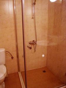 a shower with a glass door in a bathroom at Solar nest with fireplace and panoramic view 700m from skilift and centrum in Bansko +17 photos