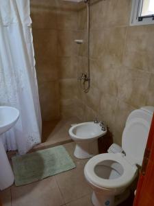 a bathroom with a toilet and a shower and a sink at La posada de Icha in El Bolsón