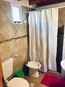 a bathroom with a toilet and a shower curtain at La posada de Icha in El Bolsón