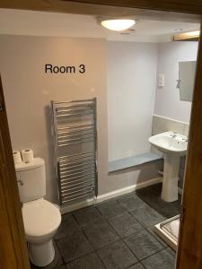a bathroom with a toilet and a sink at Sutherland mini apartments in Fort William