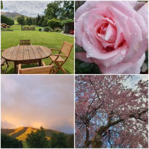 een collage van foto's met een roze roos en een picknicktafel bij Burkes Pass Country Motels in Burkes Pass