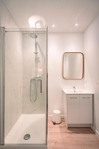 y baño con ducha y lavamanos. en SOCOTRA - Logement Climatisé en Centre-Ville, en Reims