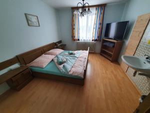 TV a/nebo společenská místnost v ubytování Haus Schattau