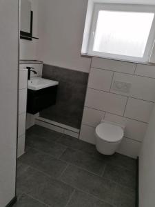 een badkamer met een toilet, een wastafel en een raam bij Neue Ferienwohnung, Center Park, Bodensee, WAZ in Kißlegg