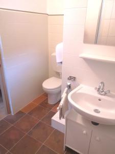 a bathroom with a toilet and a sink at Haus Grünberg in Finkenberg