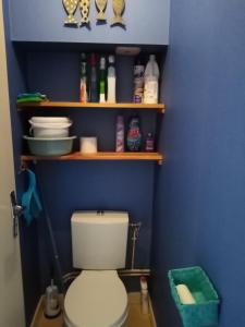 a bathroom with a white toilet in a blue wall at studio résidence le sombreuil in Quiberon +15 photos