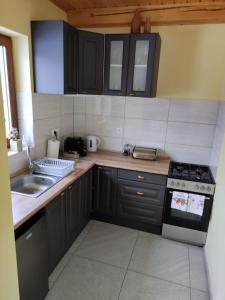 uma cozinha com armários pretos, um fogão e um lavatório em Górskie Zacisze Kamienica em Stronie Śląskie