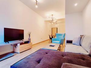 a living room with a couch and a flat screen tv at WSD Muse Apartment Hotel in Athens