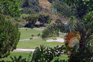 Zaplecze golfowe tego apartamentu lub w pobliżu