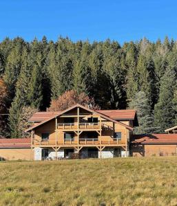 una gran casa de madera en un campo con árboles en Nouveau Gîte Bain Nordique en Xonrupt-Longemer