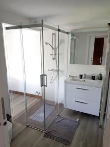 La salle de bains est pourvue d'une douche en verre et d'un lavabo. dans l'établissement Appartement d'une chambre avec terrasse a Sare, à Sare
