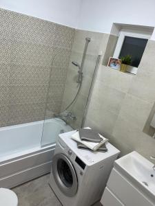 bagno con lavatrice e doccia di Beautiful Colors Residence Villa a Otopeni Altre 47 foto
