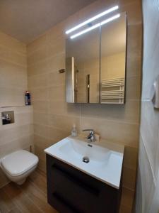 a bathroom with a sink and a toilet and a mirror at Studio cosy et chaleureux in Valloire