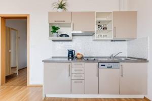 Kuchyňa alebo kuchynka v ubytovaní JT's Apartments Korunní str.