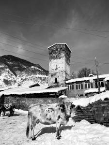 IURI udesiani's GUESTHOUSE tokom zime