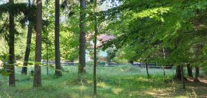 Vonkajšia záhrada v ubytovaní Domek Tylko Tu