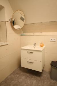 a bathroom with a sink and a mirror at Ferienwohnung Kurort Jonsdorf in Kurort Jonsdorf