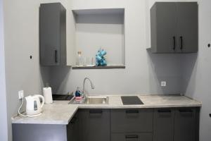 Kuchyňa alebo kuchynka v ubytovaní Soho Apartments Lviv