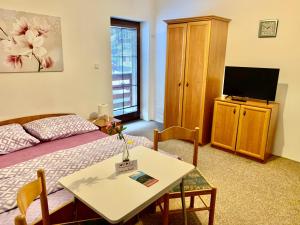 a bedroom with a bed and a table and a tv at Pension Lenka 1 in Harrachov