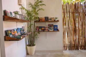 a room with wooden shelves and a plant on a wall at Kaab Boho in Tulum