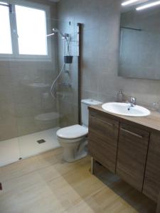 a bathroom with a shower and a toilet and a sink at Les Amandines in Chisseaux