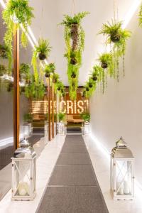 a lobby with potted plants hanging from the ceiling at Hotel Cristal Porto in Porto