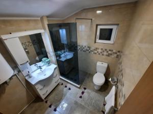 Vonios kambarys apgyvendinimo įstaigoje DION Kolašin
