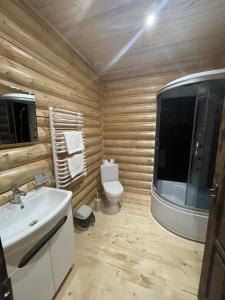Ванна кімната в Карпатська Криївка