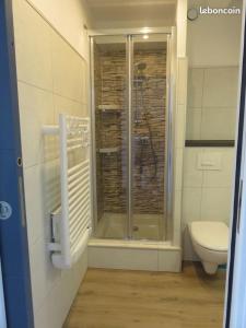La salle de bains est pourvue d'une douche et de toilettes. dans l'établissement ANGLET-BIARRITZ Studio vue Mer - Terrasse + Garage, à Anglet