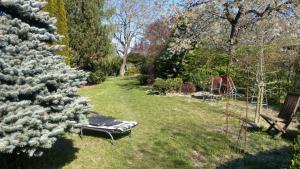 einen Garten mit einem Picknicktisch und einem Weihnachtsbaum in der Unterkunft Ferienwohnung Kunstscheune Mosel in Raversbeuren