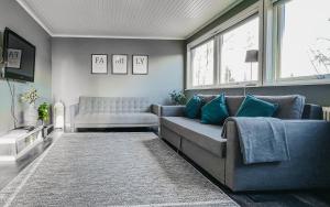 弗雷德里克斯堡的住宿－Säfsen House • Spacious updated home • Close to the slopes!，客厅配有沙发和蓝色枕头。