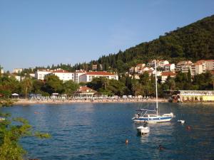 a boat sitting in the water next to a beach at Apartment Luna in Dubrovnik