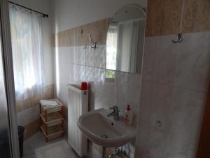 a bathroom with a sink and a mirror at Vila Nela in Podhájska