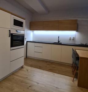 Kuchyň nebo kuchyňský kout v ubytování Apartmán Hestia 5