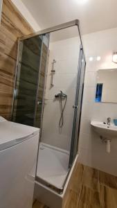 y baño con ducha y lavamanos. en Apartmán Hestia 5, en Rajecké Teplice