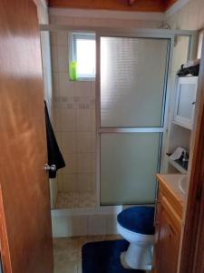 a bathroom with a shower with a toilet and a sink at Mx2 Cottage in Calibishie