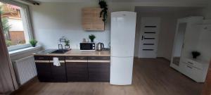 Küche/Küchenzeile in der Unterkunft APARTAMENTY MONTANIA WISŁA
