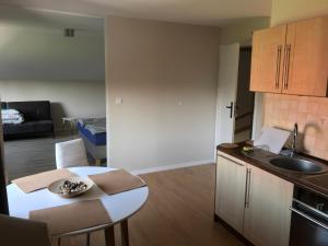 Küche/Küchenzeile in der Unterkunft APARTAMENTY MONTANIA WISŁA