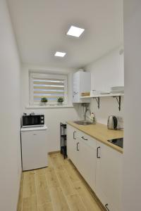 Kuchyň nebo kuchyňský kout v ubytování River Park apartments Ukmerge