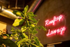 Fotografie z fotogalerie ubytování The Greenhouse Hotel v destinaci Hverageroi
