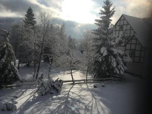a snow covered yard with trees and a building at Veltins-Arena FeWo Buchenweg 27 Appartement in Winterberg
