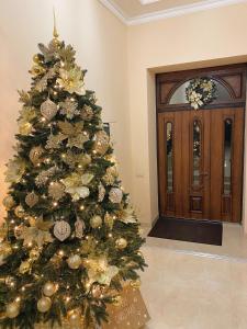 a christmas tree in a room with a door at Сонячна Соната in Polyana