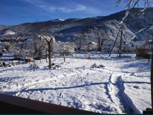 ein schneebedecktes Feld mit Bergen im Hintergrund in der Unterkunft V Ulyanu in Jaremtsche