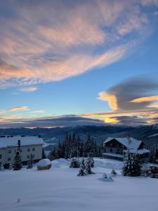 a view of a snowy mountain with houses and trees at Горизонт in Dragobrat