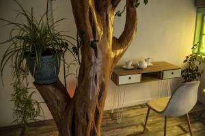 a room with a tree and a chair and a table at Cabaña & Spa Sentido Vital in La Unión