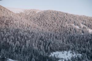 Nespecifikovaný výhled na hory nebo výhled na hory při pohledu z bed and breakfast