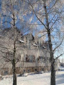 una casa cubierta de hielo y árboles en la nieve en WILLA MAGNOLIA - Apartamenty i Pokoje - ROWERY, POKÓJ ZABAW, KAWA Z EKSPRESU, en Jantar