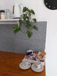 dos tazas y platos en una mesa con una planta en ETXEA Alojamiento en Deán Funes